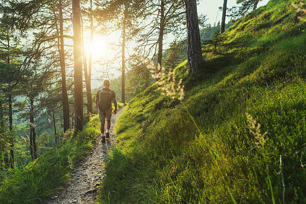 Recharge Your Creative Mind: The Art of Mindful Walking in Nature