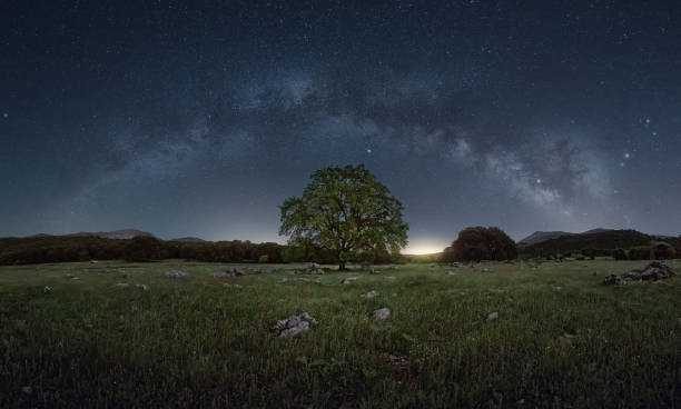 The Secret to a More Creative Mind: Prioritizing Deep, Quality Sleep