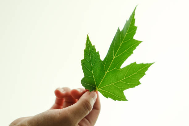 Can a Changed Environment Truly Break a Bad Habit?