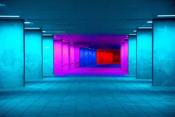 Schedule a Weekly Creative Field Trip