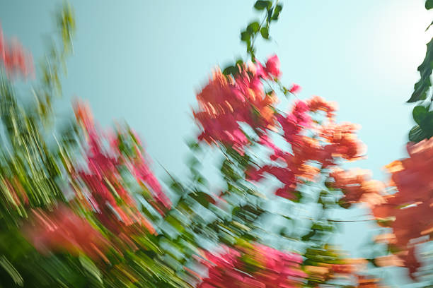How a Walk in a Natural Setting Can Refresh Your Creative Work