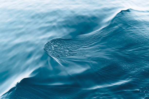 How Natural Settings Help You Generate Better Ideas