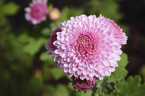 How Natural Water Settings Restore Creative Focus
