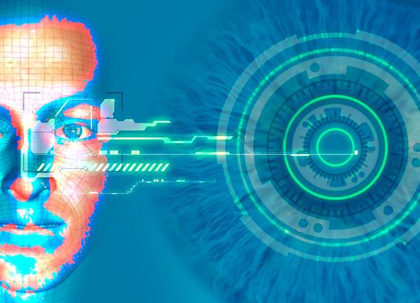 The Unseen Framework: Why Edges and Contours Shape Our World