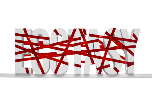 The Power of Precedent: How Analogical Reasoning Shapes Legal Arguments