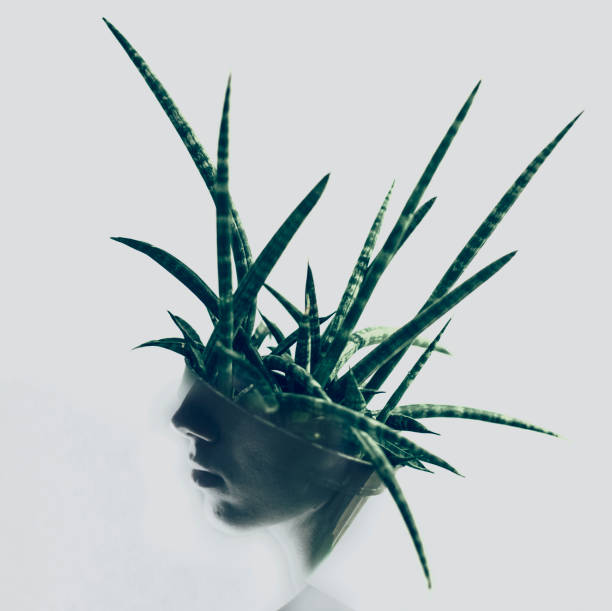 The Daily Art of Awakening Your Senses