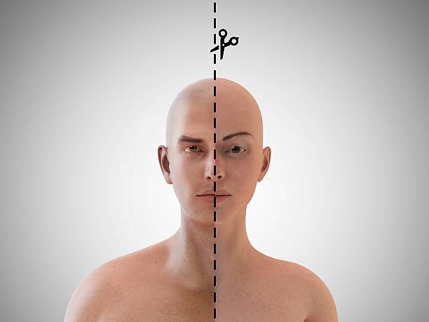 The Collaborative Advantage: Why Co-Creation Surpasses the Traditional Brief