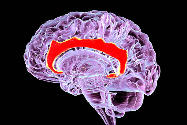 The Invisible Thread: How Scent Weaves Memories and Emotions