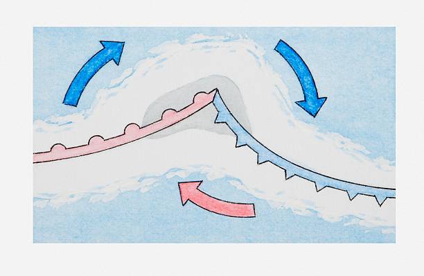 The Myth of the Chosen: Is Peak Performance a Universal Skill?