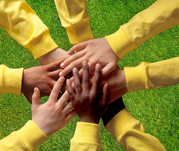 The Power of Diverse Teams in Disrupting Collective Assumptions