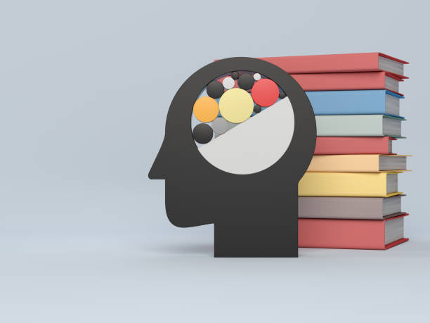 The Art of Curated Discovery: Organizing Resources for Intuitive Access