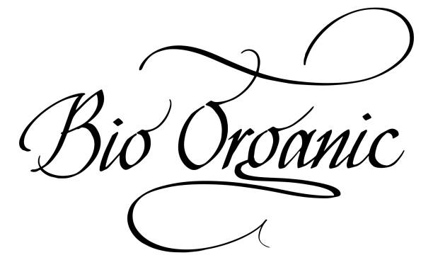 A Guide to Respectful Cultural Exploration Through Artistic Genres