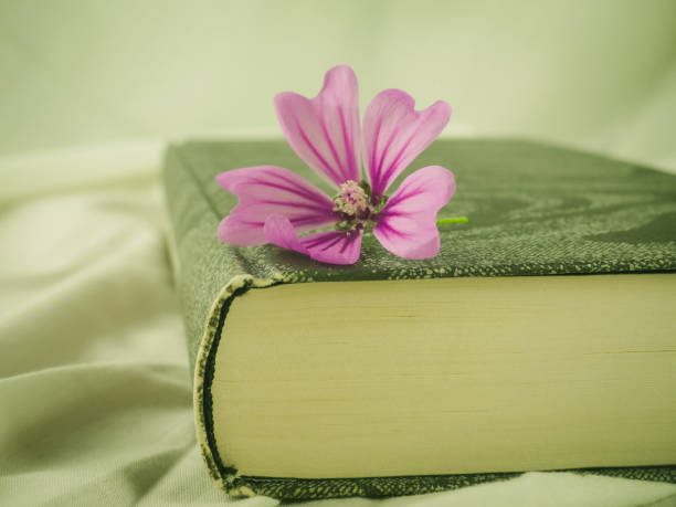 Discovering Your Next Favorite Read: A Guide to Trusted Book Recommendations and Genre Exploration