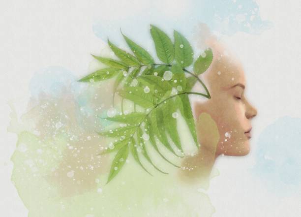 From Shared Vision to Shared Success: Navigating the Transition from Co-Creation to Execution