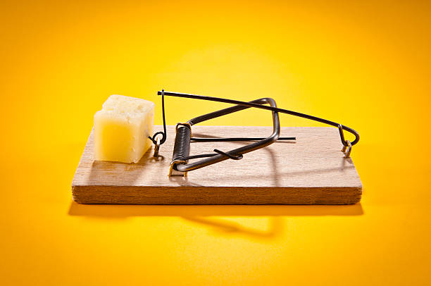 Common Creative Pitfalls and How to Avoid Them
