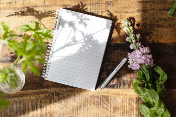 Enhancing Creativity Through Nature Journaling