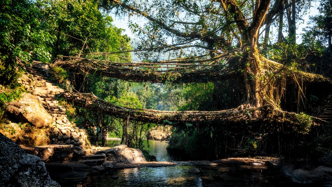 Meditating on a Single River Stone: A Simple Practice to Boost Creativity