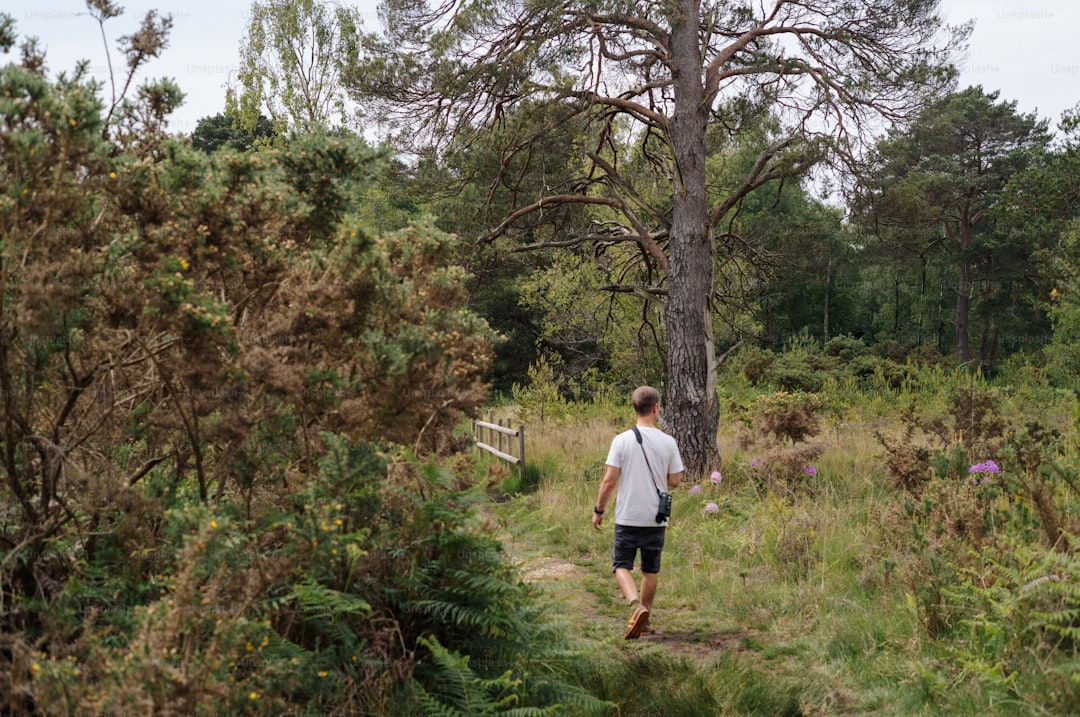 How a Slow Walk in the Woods Can Unlock Your Next Big Idea