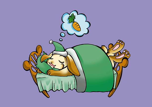 The Power Nap as a Gateway to Creative Insight
