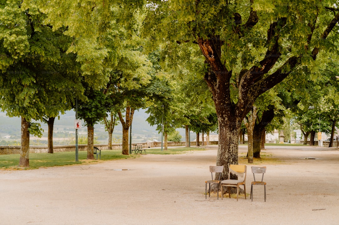 Reimagining a Neighborhood Park with SCAMPER