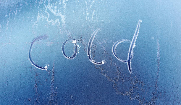The Creative Spark of a Sudden Cold Snap