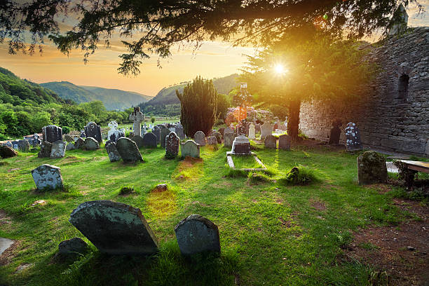 Reviving Your Creative Graveyard