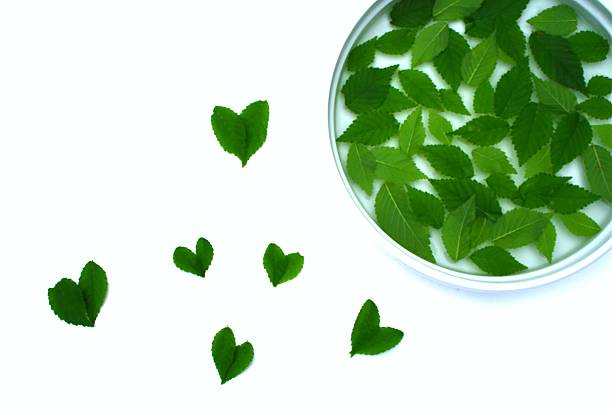 The Scent of Peppermint: A Natural Spark for Creative Work