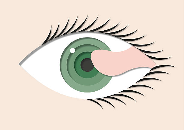 The Art of Seeing: How to Notice the Extraordinary in the Ordinary
