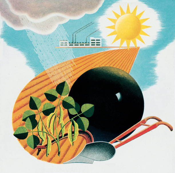 Plant Your Ideas: How Gardening Metaphors Cultivate Creative Breakthroughs