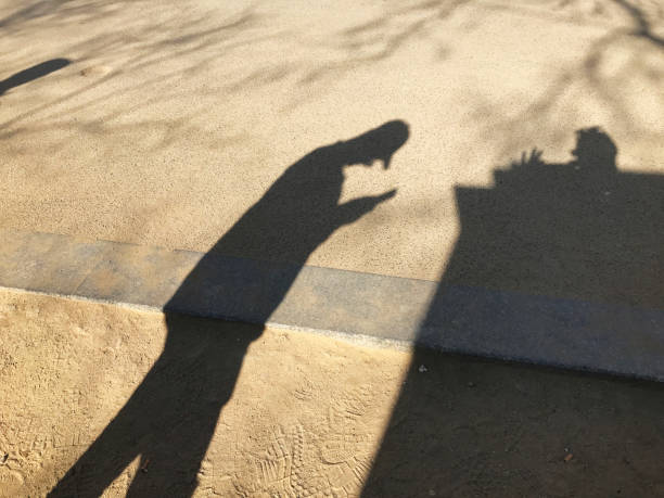 The Hidden Geometry of Shadows