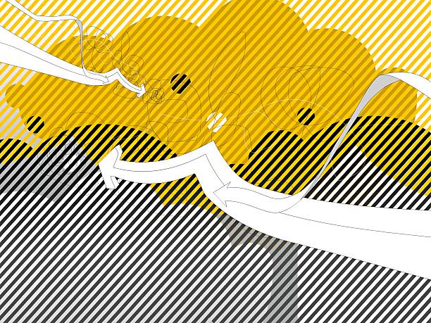 Inversion as a Creative Tool: Turning Problems Inside Out
