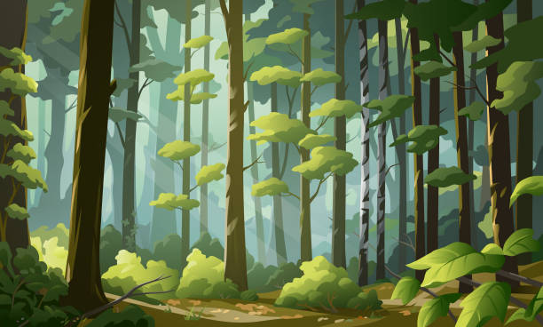 How the Sound of a Forest Can Reset Your Creative Mind