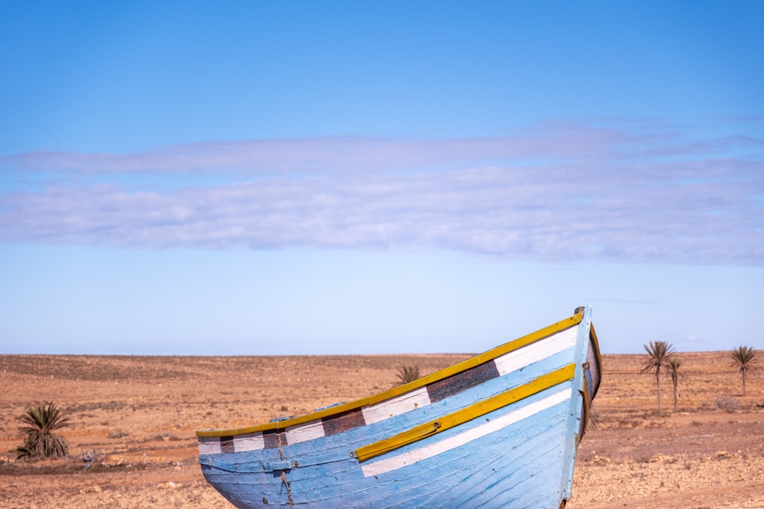 The Desert’s Silent Lesson for Creative Thinking