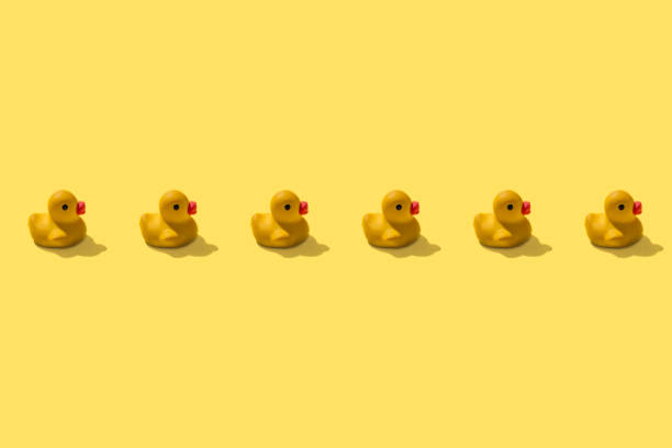 The Rubber Duck Method: Why Explaining Your Project Aloud to an Inanimate Object Boosts Creativity