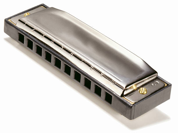 The Creative Leap of Learning Harmonica