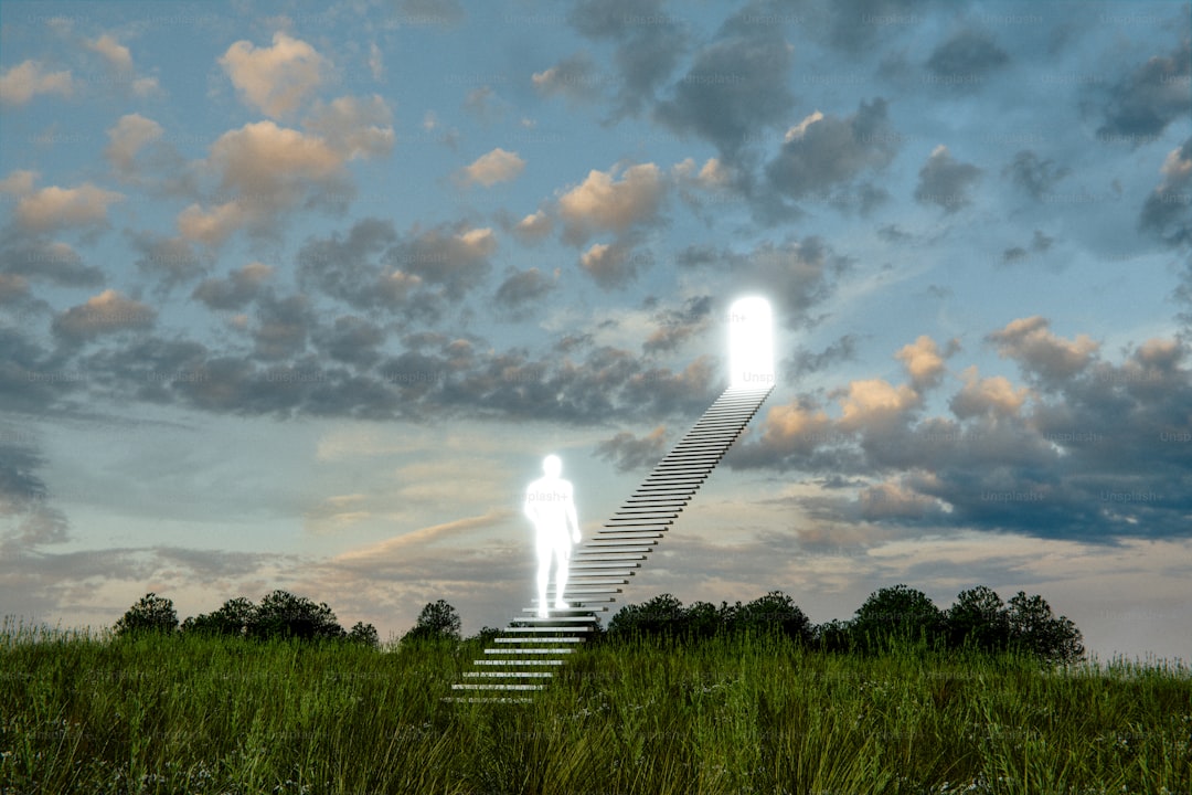 The Illuminating Lens: How Light Shapes Artistic Observation