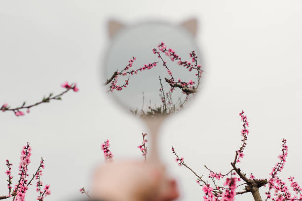 The Strategic Balance: Determining the Right Number of Images for Your Content